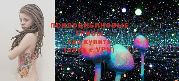 бошки Елизово