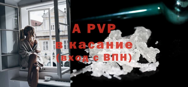 стафф Ельня