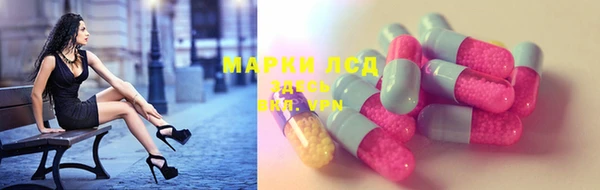 стафф Ельня