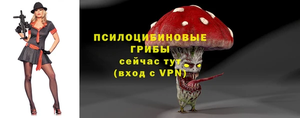 твердый Елабуга