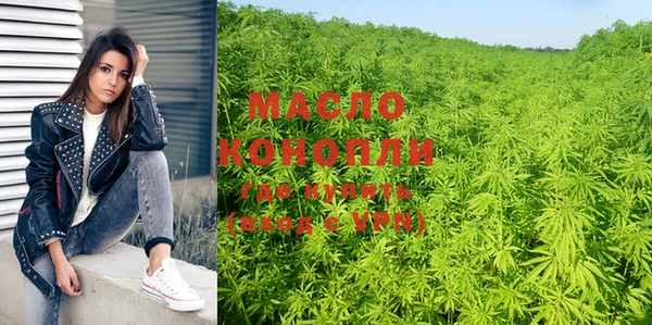 стафф Ельня