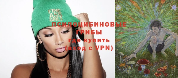 стафф Ельня