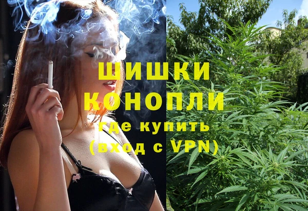 стафф Ельня