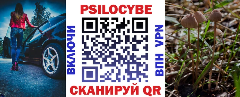 Псилоцибиновые грибы Psilocybe  Купить  Инза 